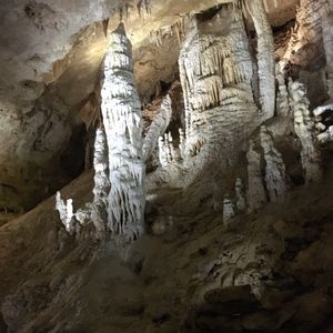 Meet your Posher, Harley